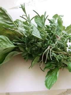 Learn How To Preserve Herbs In Kent Library Program