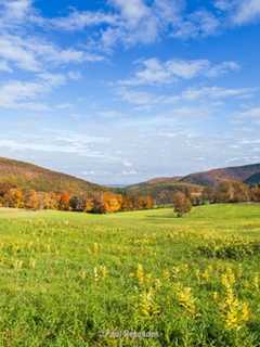 $4 Million Pact Protects Farm, Forests In Taconic Mountains