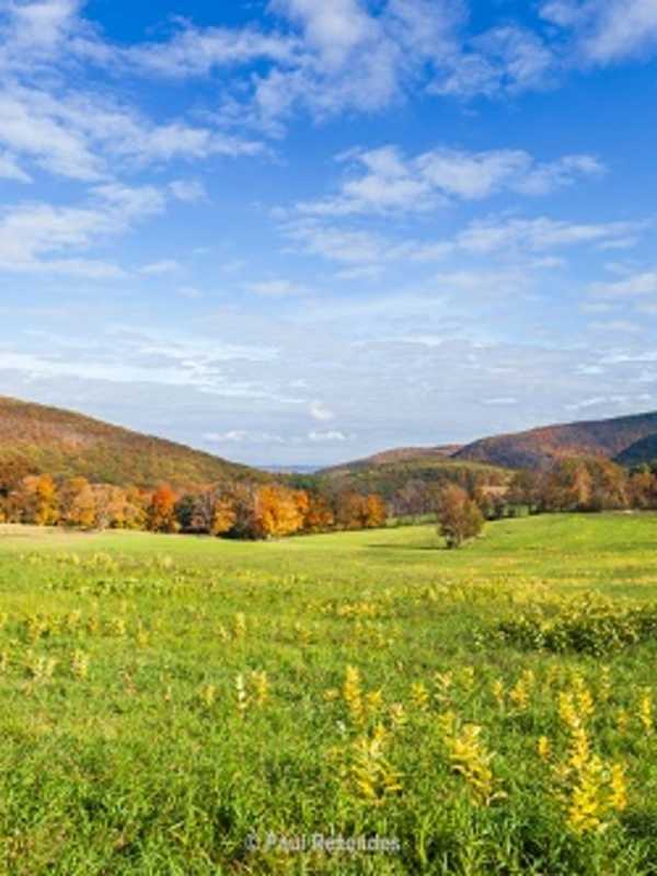 $4 Million Pact Protects Farm, Forests In Taconic Mountains