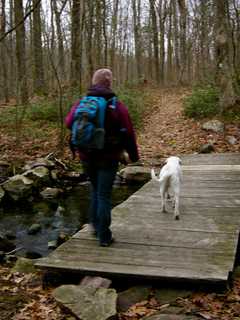 Closter Opens Improved Nature Trail System