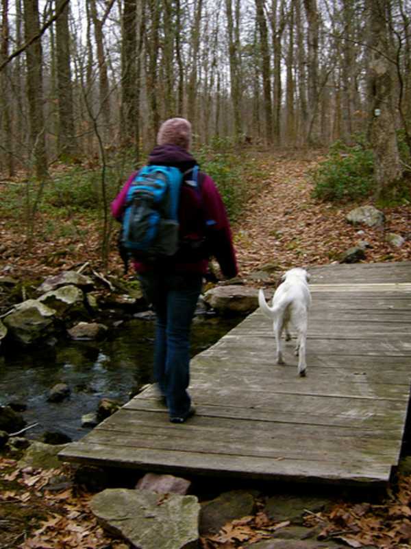 Closter Opens Improved Nature Trail System