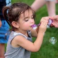 <p>Children enjoyed the simple pleasures at the Family Fun Night at the Hillsdale Summer Concert Series.</p>