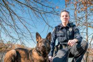 Darien Police Welcome Two New K-9 Officers