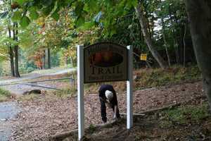 Hollow Brook Trail Will Mark Grand Opening In Cortlandt
