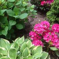 Politics Around The Towns: Healthy Mamaroneck Yards, Tastiest Water, New Greenburgh Councilor