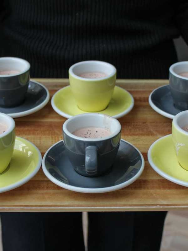 Sweet Spots: Westchester's 15 Have To Have Hot Chocolates