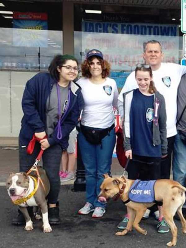 North Jersey Humane Society Holds Pet Adoption In Wayne