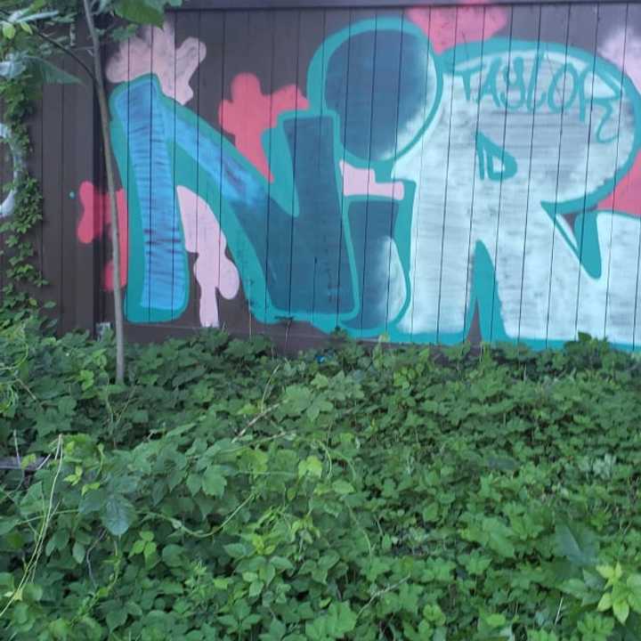 A man was arrested for allegedly spray-painting a fence on the Hutchinson River Parkway in White Plains.