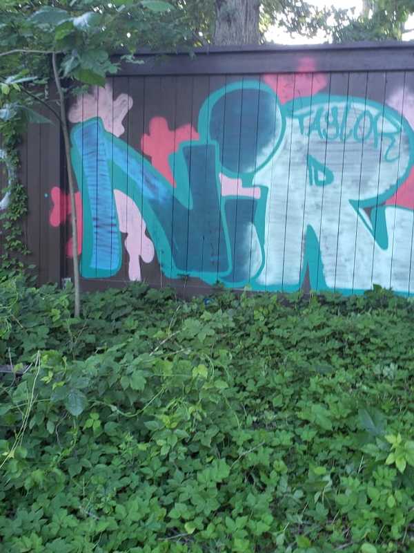 Man Charged With Making Graffiti Along Hutchinson River Parkway