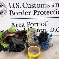 <p>CBP discovered charred bat in the baggage of
a Maryland man who arrived from Ghana.</p>