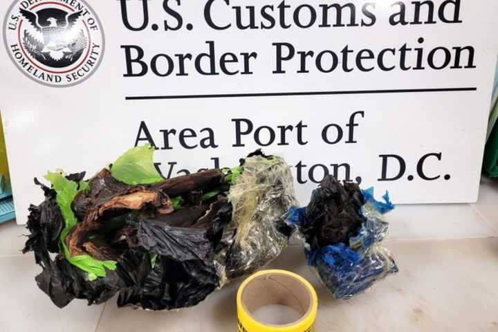 Bat Meat Seized From Maryland Man's Luggage At Dulles International Airport: Authorities