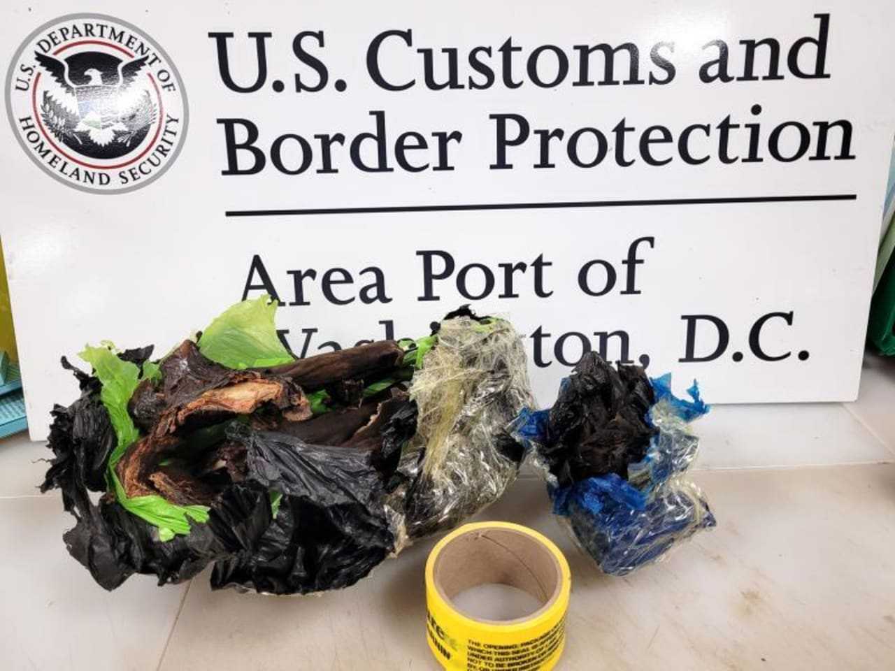 Bat Meat Seized From Maryland Man's Luggage At Dulles International ...