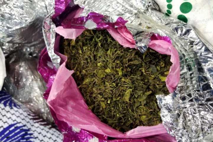 Feds: PA Man Nabbed Collecting 950 Pounds Of Khat At Newark Airport