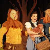 <p>Julia Schuller and Aaron Abercrombie in the Pine Grove HS production of &quot;The Wizard of Oz&quot; in 2013.</p>