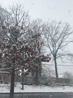 How Much Snow Did You Get? A Look At Totals From Westchester