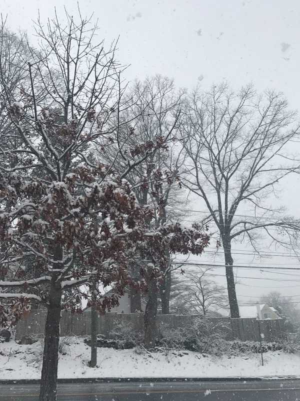 How Much Snow Did You Get? A Look At Totals From Westchester