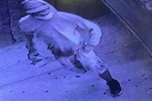 Authorities Investigating Arson At Long Island Commercial Building