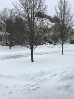 Snow Blankets Trumbull Monday, Parking Ban In Effect