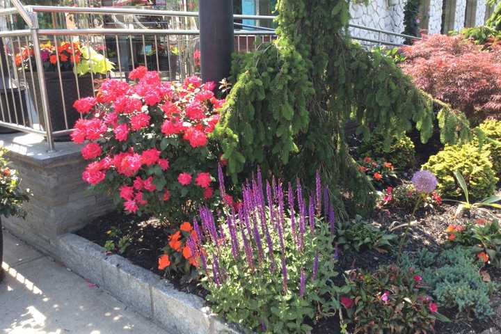 Larchmont's Nautilus Diner To Be Honored For 'Exceptional Landscaping'