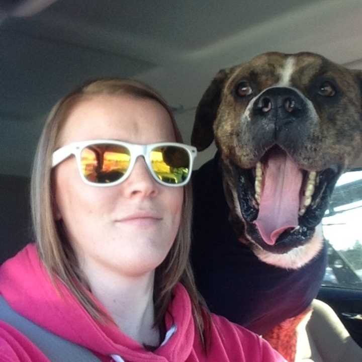 A Franklin Lakes Animal Hospital vet tech takes Benny for a ride.