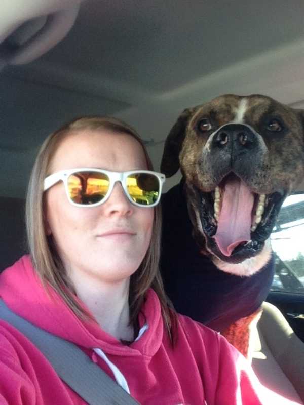 Franklin Lakes Animal Hospital Helps Find Emaciated Dog Better Life