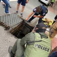 <p>Law enforcement turned out in force to rescue five baby ducks.</p>