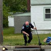 <p>An officer keeping watch over the ducks.</p>