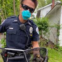 Photos: Ducklings Stuck In Drainpipe Rescued By Slew Of First Responders On Long Island