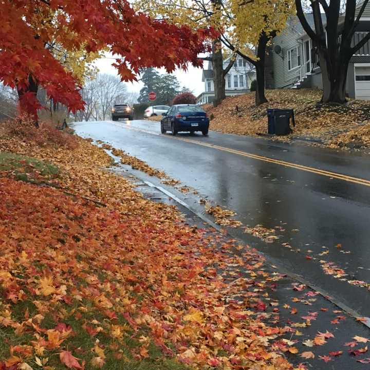 The late-November rain is pulling down the last of the fall leaves across Fairfield County.