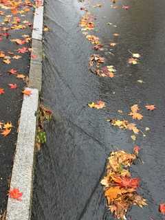 Thunderstorms May Add To Dreary Rain, Mist In  Shelton