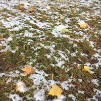 <p>A light covering of wet snow blankets the un-raked leaves on Sunday morning in downtown Danbury.</p>