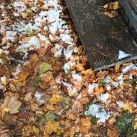 <p>Wet snow combined with un-raked leaves makes for a slippery, ugly combination on Sunday morning in Danbury.</p>