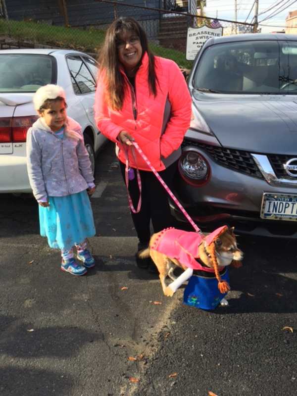 Kids, Pets Dress In Costumes For Ossining's Halloween Pet Parade