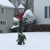 Wintry Mix Could Hit Bridgeport Ahead Of White Christmas