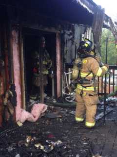 Dog, Tarantula Rescued From Burning Multi-Family Home In Stamford