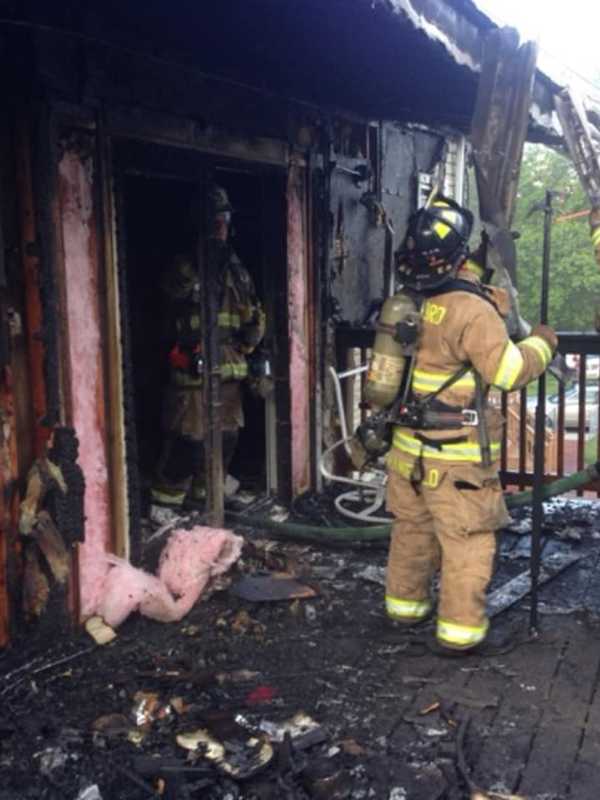 Dog, Tarantula Rescued From Burning Multi-Family Home In Stamford