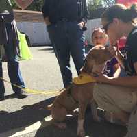 <p>Becky Leeming gives Pinky some treats at the Pit Bulls and Pumpkins event at the Ramapo Bergen Animal Refuge in Oakland on Oct. 11. </p>