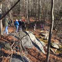 Celebrate The New Year With First Day Hikes At Connecticut State Parks