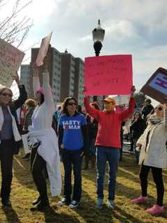 Crowd Floods Stamford Park In Solidarity With Women's March On DC