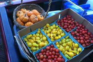 'Farm To Fork' Dinner Comes To Clifton City Green