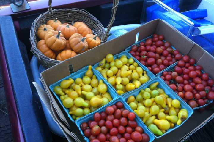 'Farm To Fork' Dinner Comes To Clifton City Green