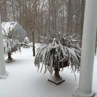 <p>Bedford was blanketed by snow Saturday.</p>