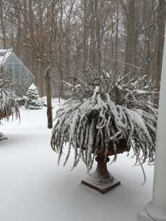 Scenes From Saturday's Snowstorm