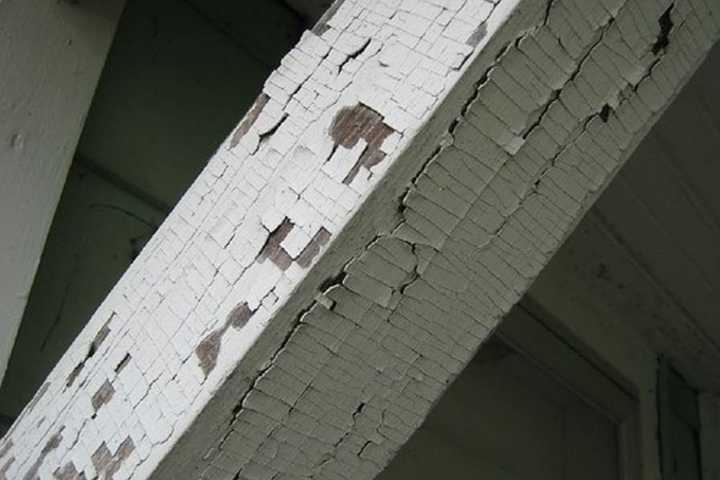 Hackensack Non-Profit Rids Bergen, Passaic Homes Of Dangerous Lead Paint