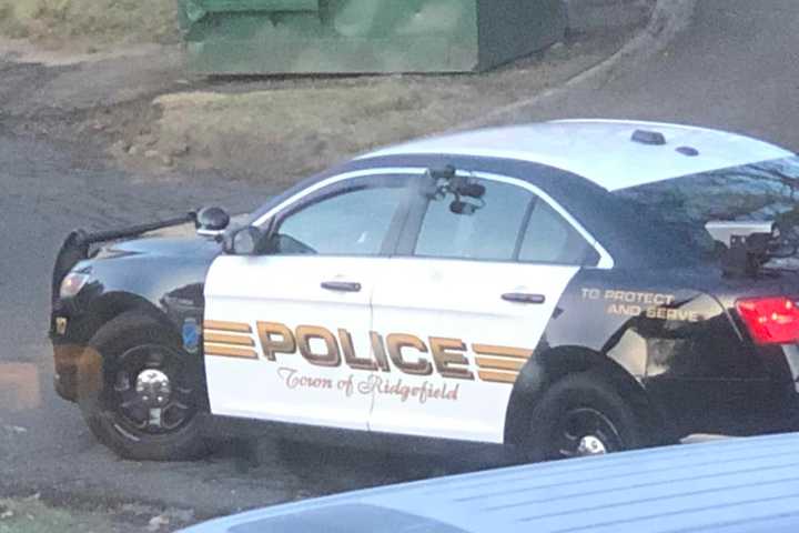 Police Provide Description Of Suspect Seen Rummaging Through Vehicles In Ridgefield