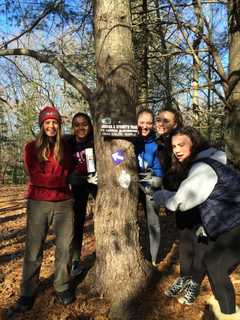 Westport Girl Scouts Make Trail, Restore Meadow At Leonard Schine Preserve