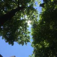 Sun Peaks Out, But Rain Will Return At Night In Darien