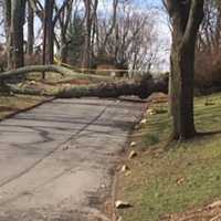 Got Winter Storm Debris? Norwalk Has A Waste Site For That