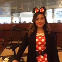 Minnie Mouse, Sushi, Cow Spotted In Rye Brook On Halloween