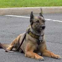 <p>Funds are being raised to support the Passaic County Sheriff&#x27;s K-9 Division.</p>